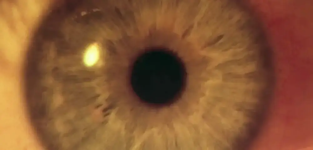 Close up of the eye. This is the moment the eye flickers into reality. In 2001 A Space Odyssey this is when the astronaut Dave finds he has entered a totally different reality compared to that he had been used to.