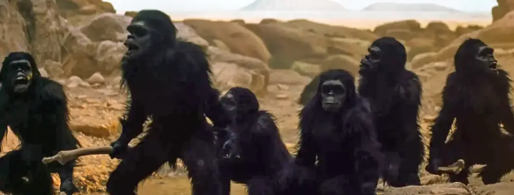 Apes in Kubrick's 2001 fight off others armed with bones.